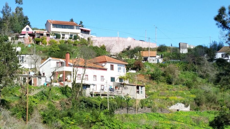 Paradise Valley half-day morning walk. - Learning Madeira’s flora and fauna