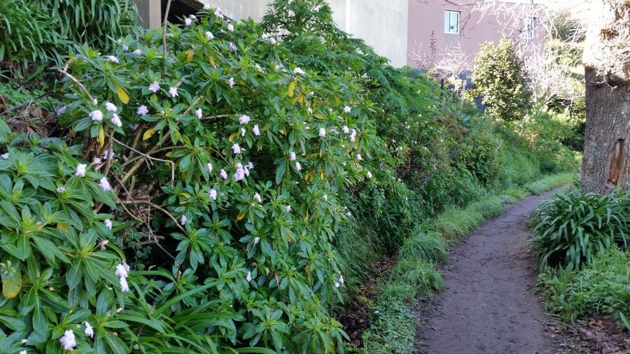 Paradise Valley half-day morning walk. - How difficult is the 3.5-hour walk?