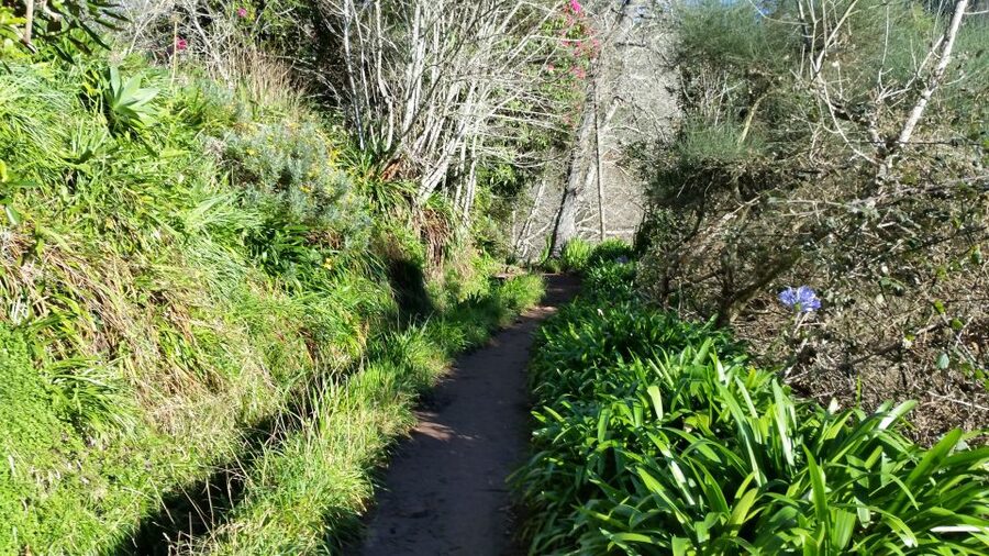 Paradise Valley half-day morning walk. - What the $41 price includes