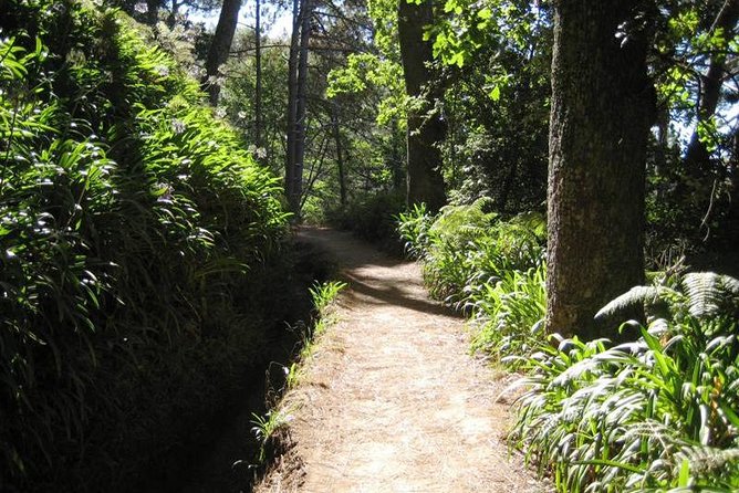 Paradise Valley - Levada Walk - Key points to know before you book