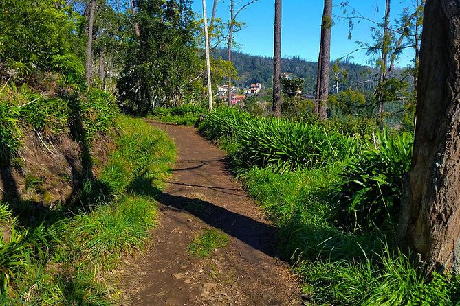Paradise Valley - Levada Walk - Why this levada walk works for a first day in Madeira