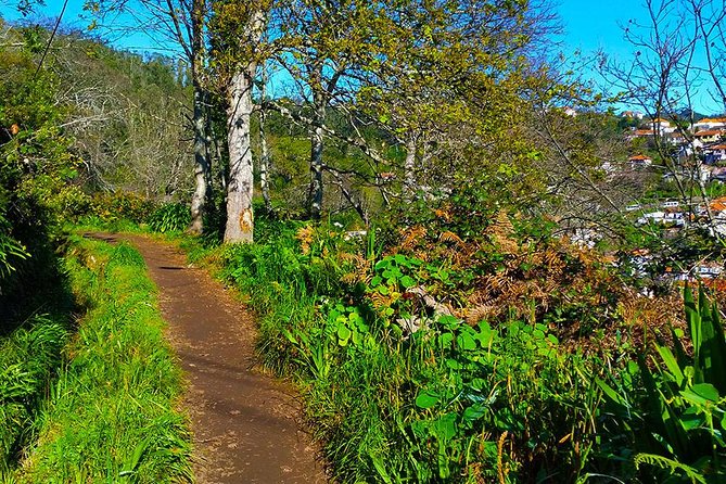 Paradise Valley - Levada Walk - The views appear between the trees
