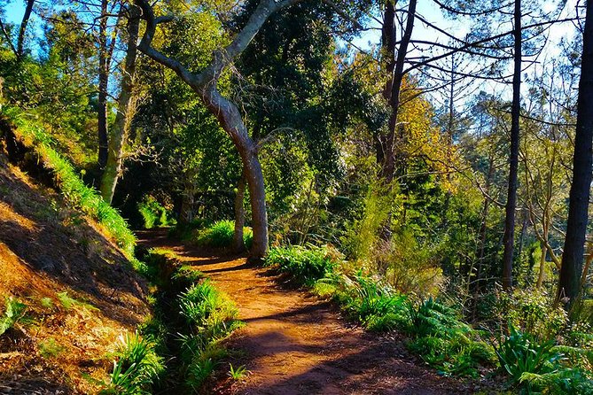 Paradise Valley - Levada Walk - Finishing in Camacha