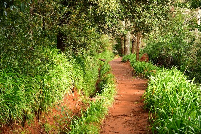 Paradise Valley Madeira Island Walk - Key points to know before booking