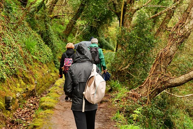 Paradise Valley Madeira Island Walk - What the Paradise Valley walk is really about