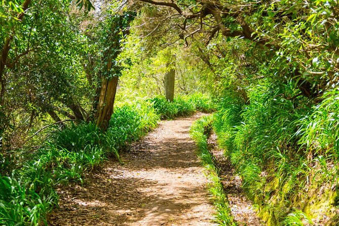 Paradise Valley Madeira Island Walk - Starting at 9:00 am with transport from Funchal