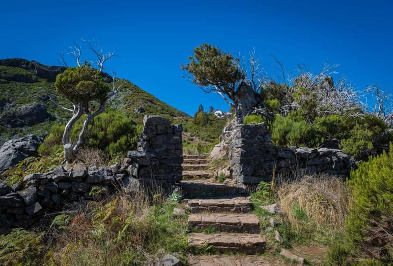 Pico Areeiro to Pico Ruivo Madeira Island Walk - Key points to know before booking