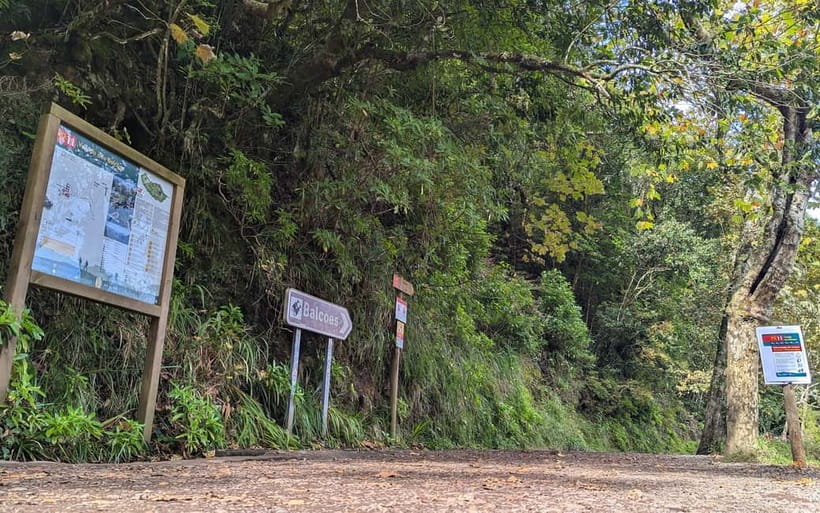Pico do Arieiro in 4h: Immersive Private Experience (Cabrio) - Camacha and its local character