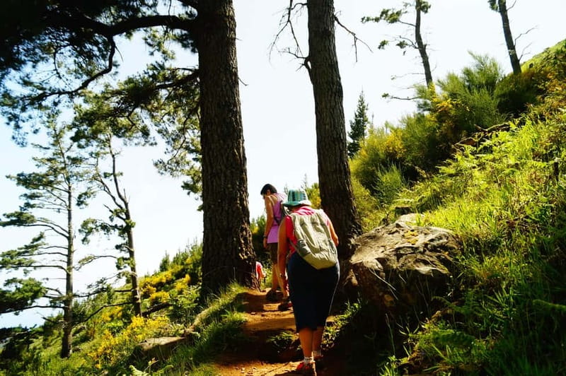 Pico do Arieiro - Stairway to Heaven Hike - Sunrise Option - What the $28 price really covers