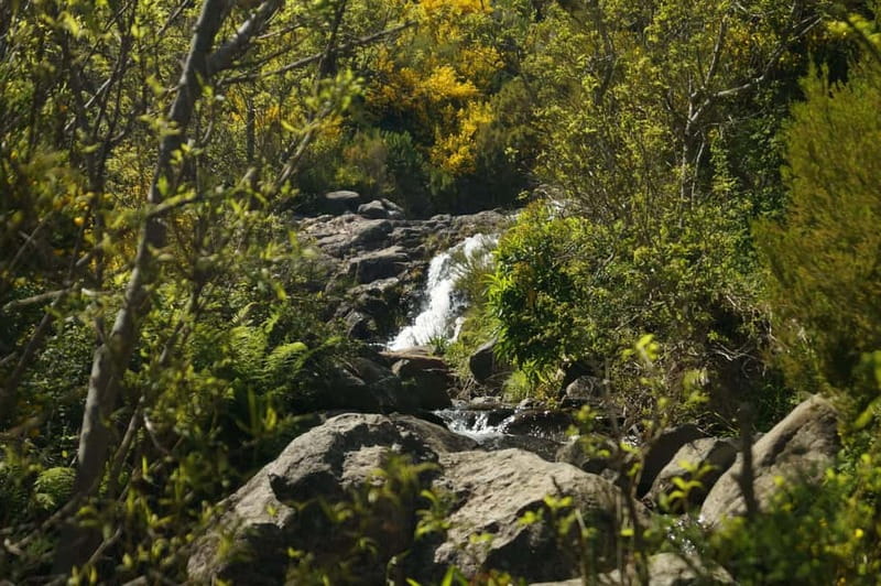 Pico do Arieiro - Stairway to Heaven Hike - Sunrise Option - How this compares with waiting for PR1