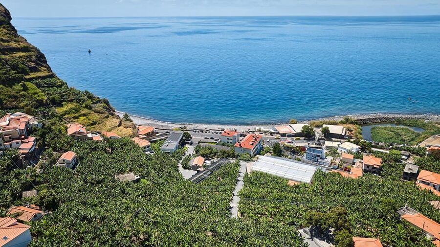 Ponta Do Sol : Madeira Banana Museum guided tour - Key points to know before booking