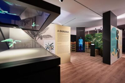 Madeira Banana Museum guided tour
