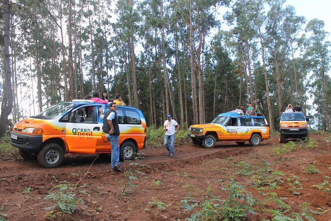 Porto Moniz 4x4 West tour - Fanal Forest and the old laurel country