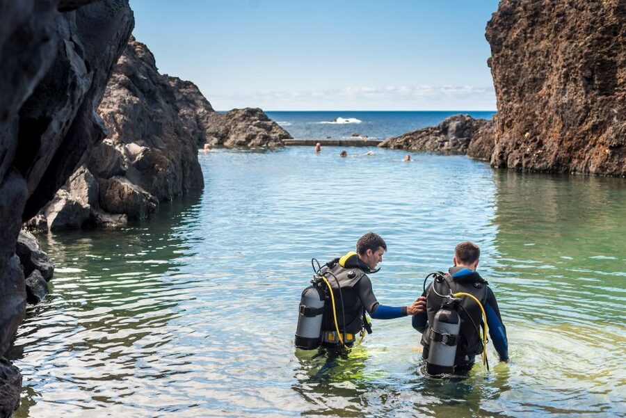 Porto Moniz: Diving with Sharks and Rays in Madeira Aquarium - Who should book this experience