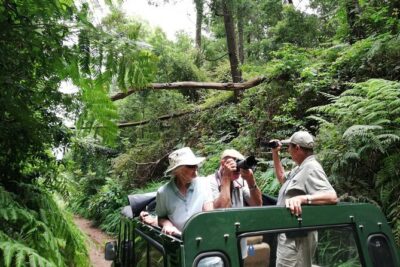 Private Full-Day – Safari 4×4 Tour – NorthWest
