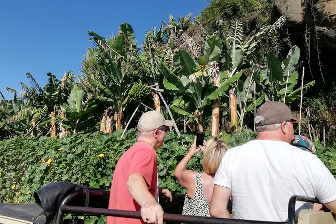 Porto Moniz - Private Full-Day - Safari 4x4 Tour - NorthWest - Two hours in Porto Moniz