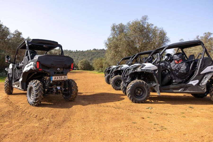 Porto Santo: 180 Minutes Off-Road Buggy Tour - Guides, Safety, and How the Tour Feels