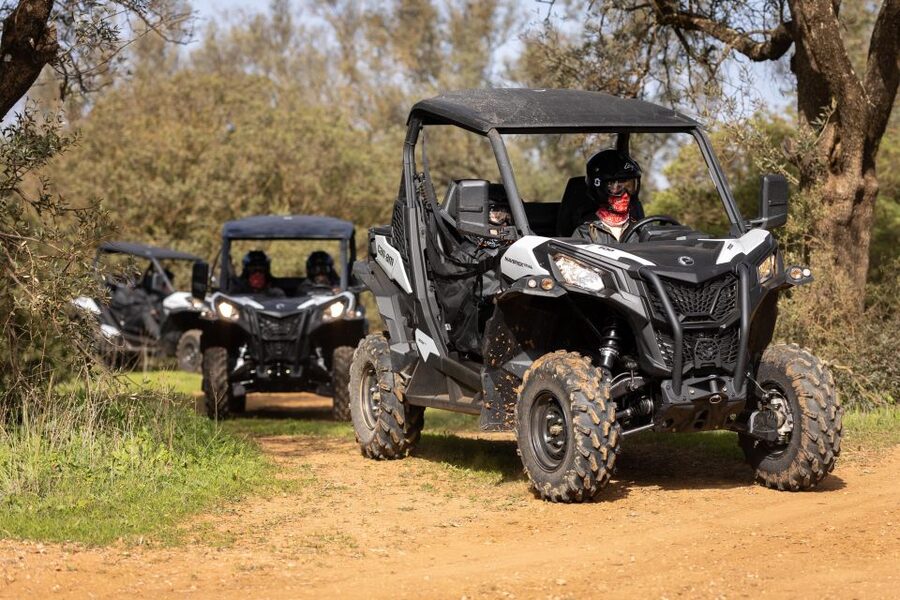 Porto Santo: 180 Minutes Off-Road Buggy Tour - What the $188 Group Price Really Means