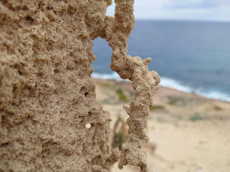 Porto Santo: Island Highlights 4x4 Tour with Hotel Transfers - Fonte da Areia and the sand-driving section