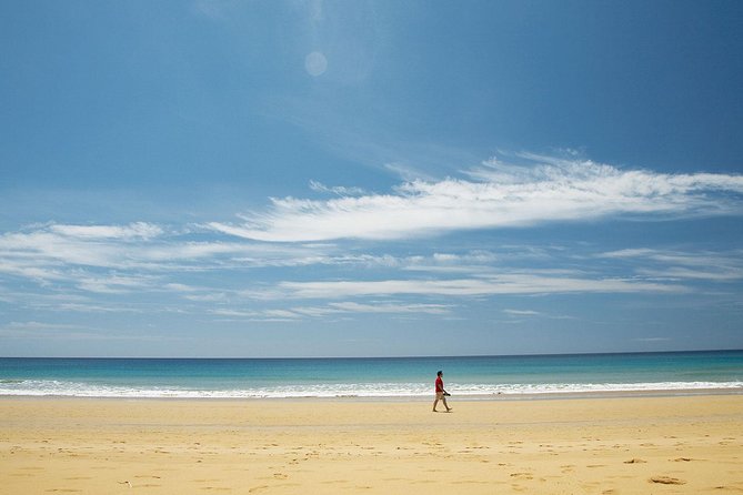 Porto Santo One-Day Cruise and Tour - Quinta das Palmeiras and the island’s quieter side
