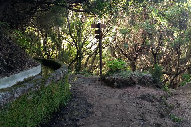 PR6 25 Fountains/Risco Levada Walk - Is the hike right for your fitness level?