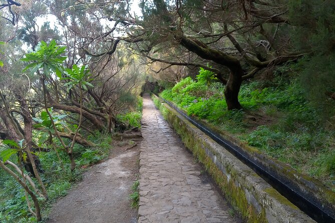 PR6 25 Fountains/Risco Levada Walk - Weather, cancellation, and practical planning