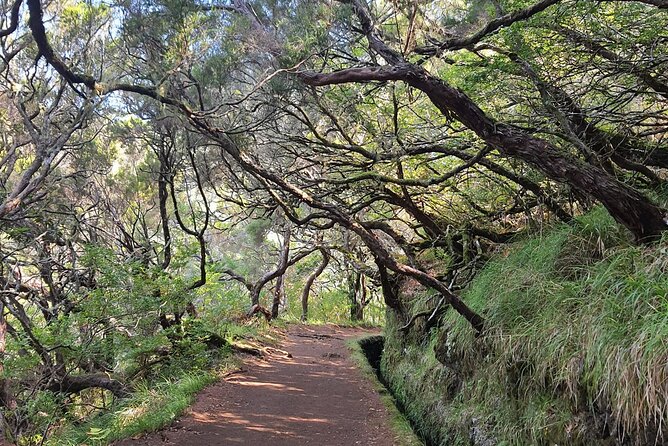 PR6 & PR6.1 25 Fontes & Risco Levada Self-Guided Hiking Rabaçal - Key points to know before booking