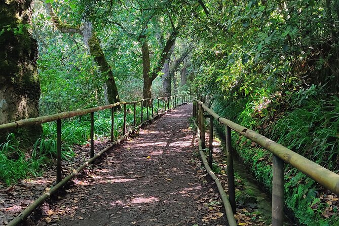 PR9 Caldeirão Verde Queimadas Levada Self-Guided Hiking Transfer - The Caldeirão Verde walk at a glance