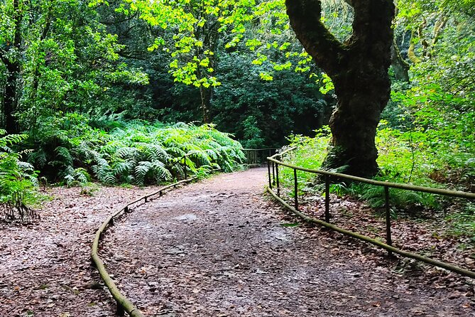 PR9 Caldeirão Verde Queimadas Levada Self-Guided Hiking Transfer - Morning pickup from Funchal and the eastern coast