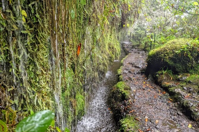 PR9 Caldeirão Verde Queimadas Levada Self-Guided Hiking Transfer - The waterfall reward at Caldeirão Verde