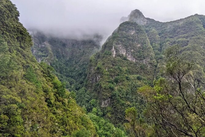 PR9 Caldeirão Verde Queimadas Levada Self-Guided Hiking Transfer - The final 2 kilometers to Pico das Pedras