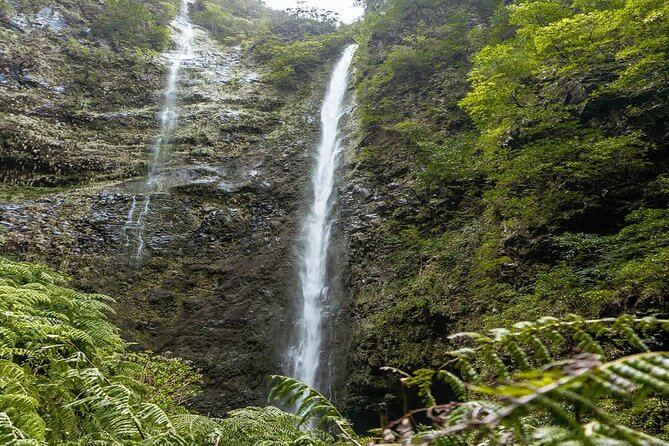 PR9 Caldeirão Verde Queimadas Levada Self-Guided Hiking Transfer - What the $39.76 price really covers