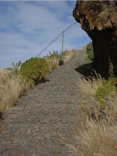 Prazeres: Full-Day Nature Walk - Why the Prazeres walk feels different