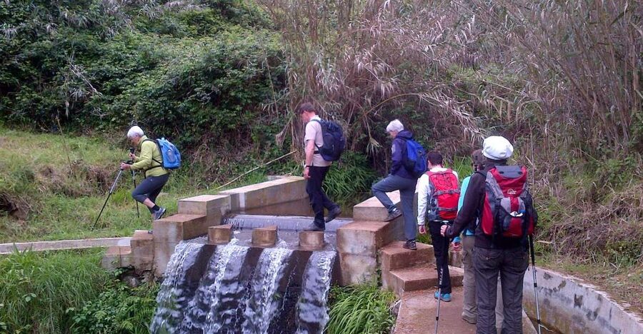Prazeres: Full-Day Nature Walk - Following the Levada of Prazeres