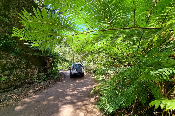 Private 4x4 Jeep Full Day Porto Moniz or Santana - The East route, from Pico do Areeiro to Ribeiro Frio
