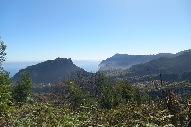 Private 4x4 Jeep Full Day to Santana or Porto Moniz - Why a private 4x4 makes sense in Madeira
