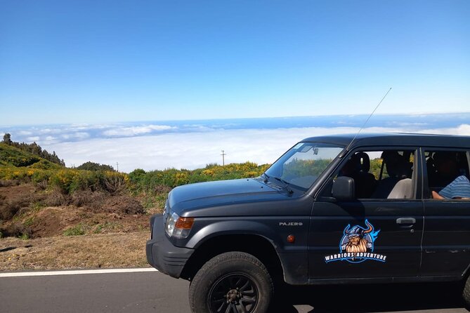 Private 4x4 Jeep Full Day to Santana or Porto Moniz - Madeira wine at Henriques & Henriques