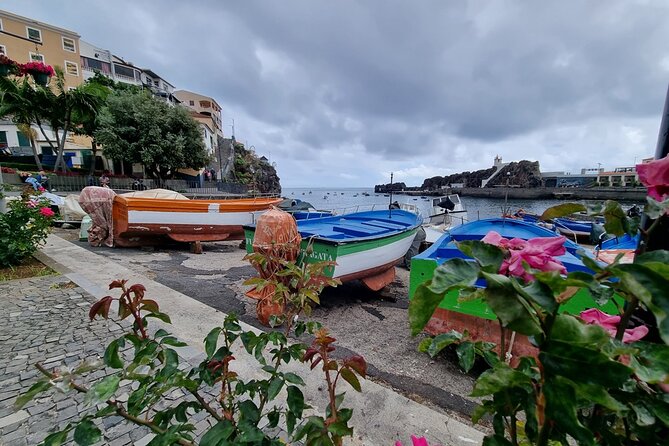 Private 4x4 Jeep Half Day - Picturesque Peaks, Vineyards, Skywalk - Passing through Madeira’s vineyards at Henriques and Henriques