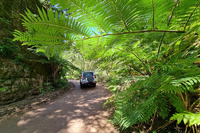 Private 4x4 Jeep Half Day - Picturesque Peaks, Vineyards, Skywalk - Ending at the Cabo Girão skywalk