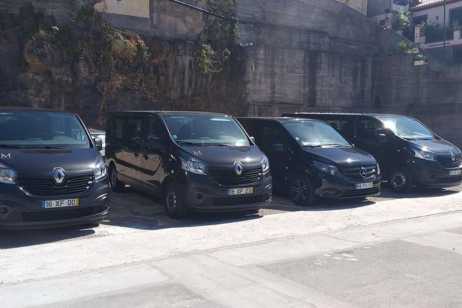 Private airport transfer to Funchal 8 people more return - Key points at a glance