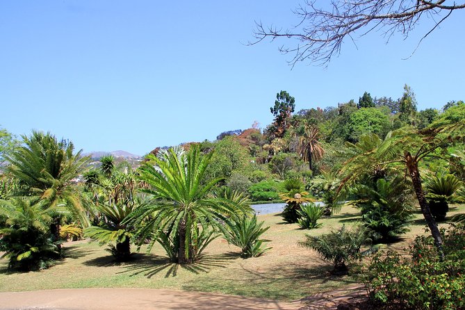 Private Botanical Garden Tour - Why a tuk-tuk makes sense in hilly Funchal