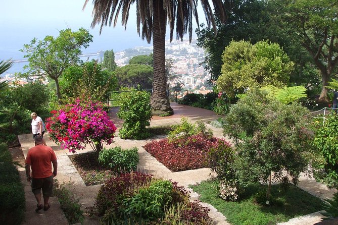 Private Botanical Garden Tour - Madeira Botanical Garden: one hour among plants and views