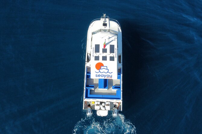 Private Cruise to Calheta and Caniçal Coasts - Caniçal: the north-side option