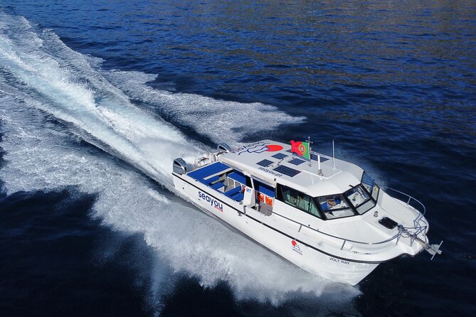 Private Cruise to Calheta and Caniçal Coasts - What to bring and what to confirm