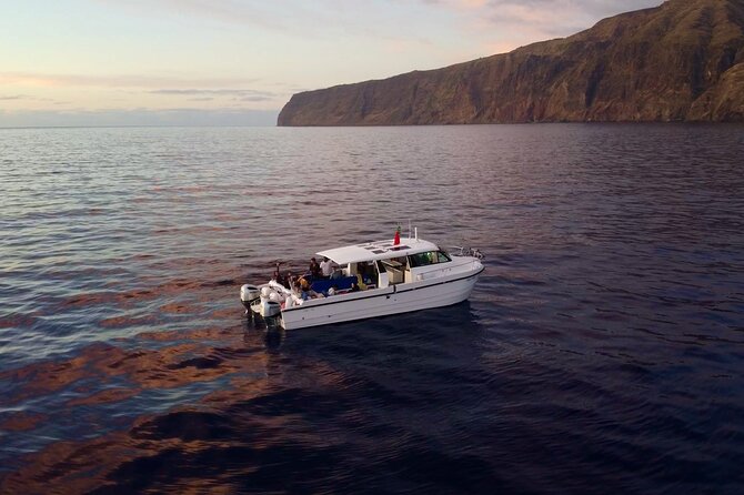 Private Cruise to Calheta and Caniçal Coasts - Calheta: Madeira’s southwestern edge