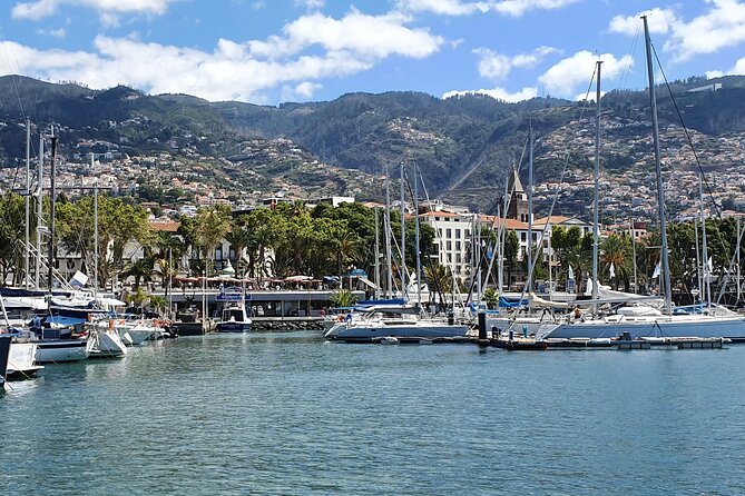 Private Cruise with Wine Tasting in Funchal Bay - Learning the basics from Maria João and Marco
