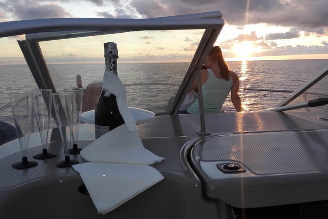 Private Dolphin and Whale Watching Tour in Madeira - Key points to know before you book