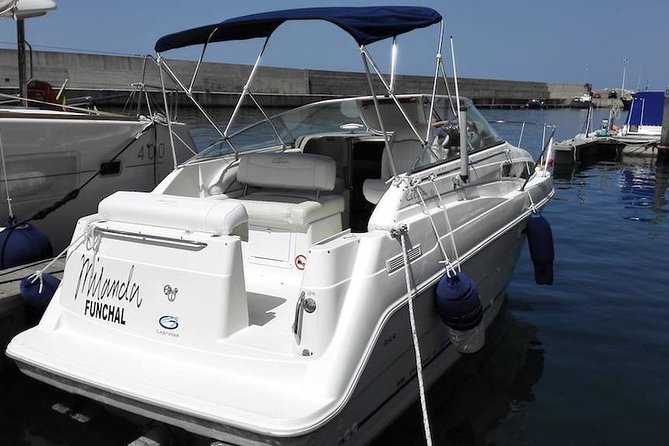 Private Dolphin and Whale Watching Tour in Madeira - Two and a half hours on a private boat