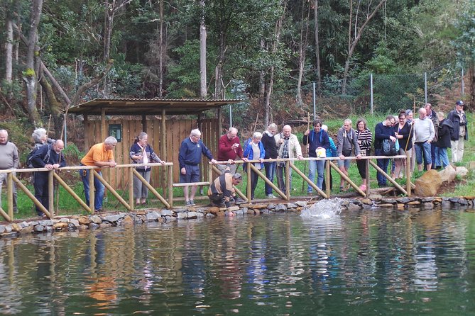 Private Full Day 4X4 Experience: East or West - What the $665.15 group price really means