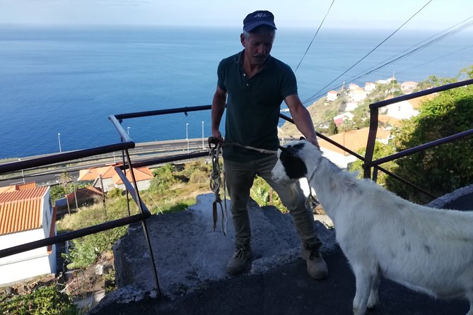 Private Full-Day - Comfort 4x4 Tour - NorthWest - Ponta do Sol and the climb to Bica da Cana